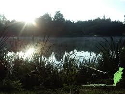 Adunate! - 12414141.jpeg